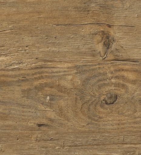 2249 Wild Amber Oak