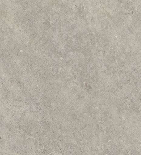 2342 Burnished Concrete