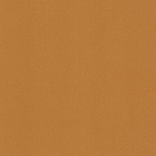 9848 Burnt Orange
