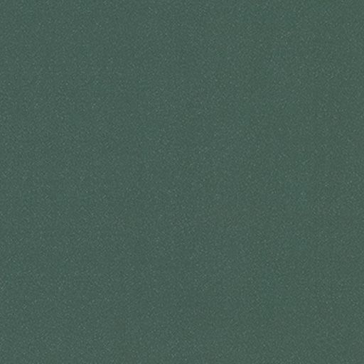 9851 Teal