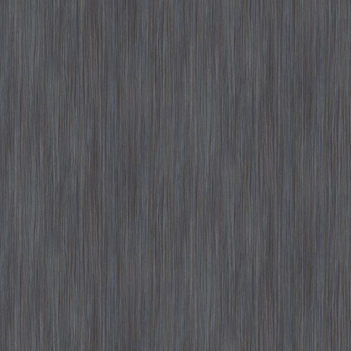 9865 Night Sky