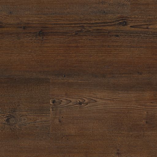Kings Oak 4437