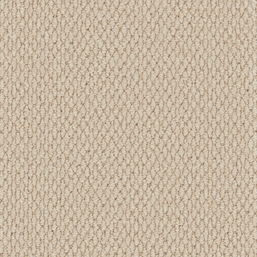 Primo Textures Canvas