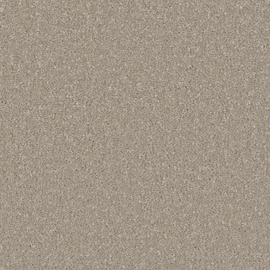 Sensation Arctic Grey