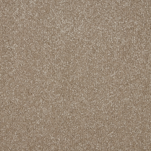 Sensation Cambrian Stone