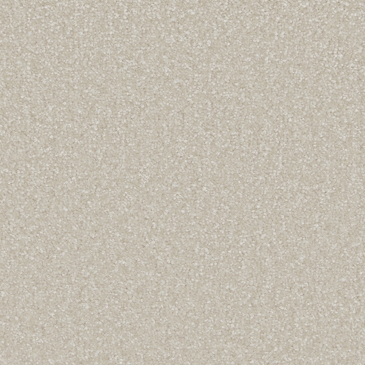 Sensation Soft Orchid